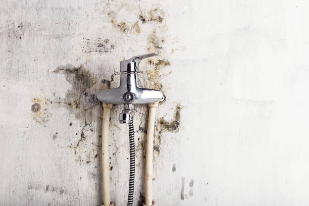 Best Certified Mold Removal  in Deale, MD
