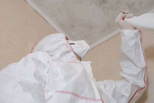Best Commercial Mold Removal  in Deale, MD